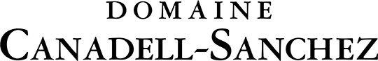 Dcs Logo Letras 540